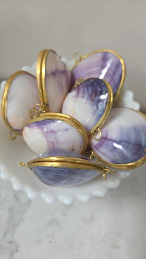 Polished Purple Clam Trinket Pill Box