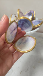 Polished Purple Clam Trinket Pill Box